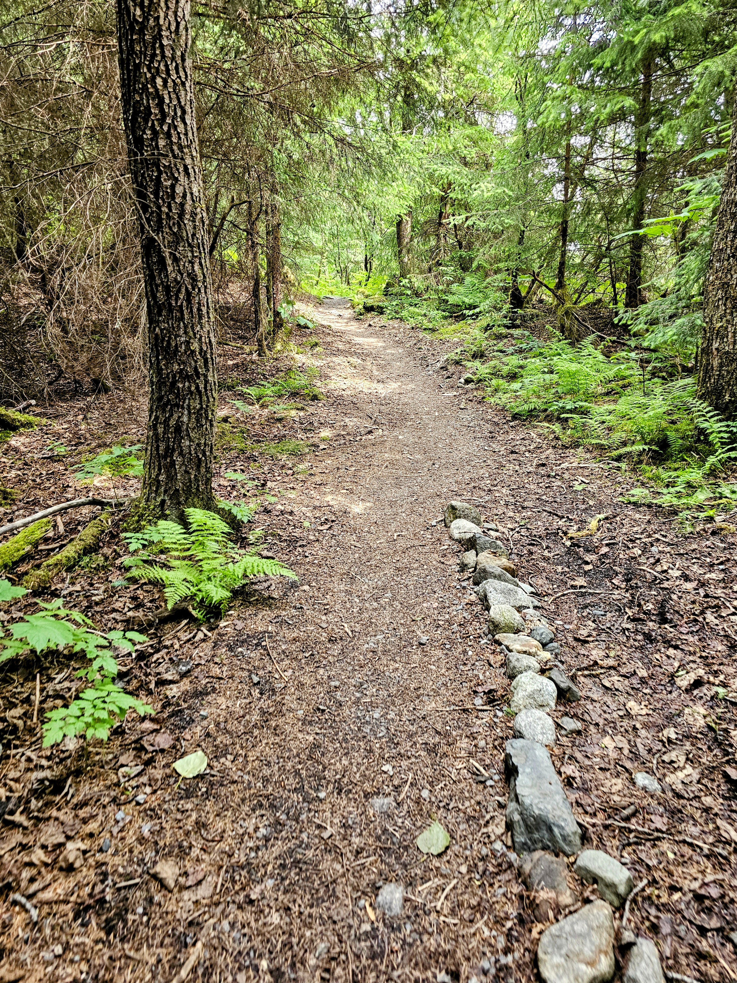 Entrance to the West Glacier Trail Mendenhall Glacier