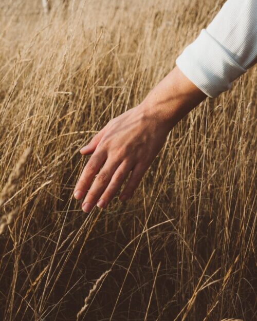 crop person in dried grass